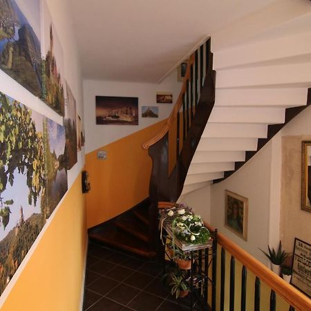 Alte Weinbauschule Villa Cochem Kültér fotó
