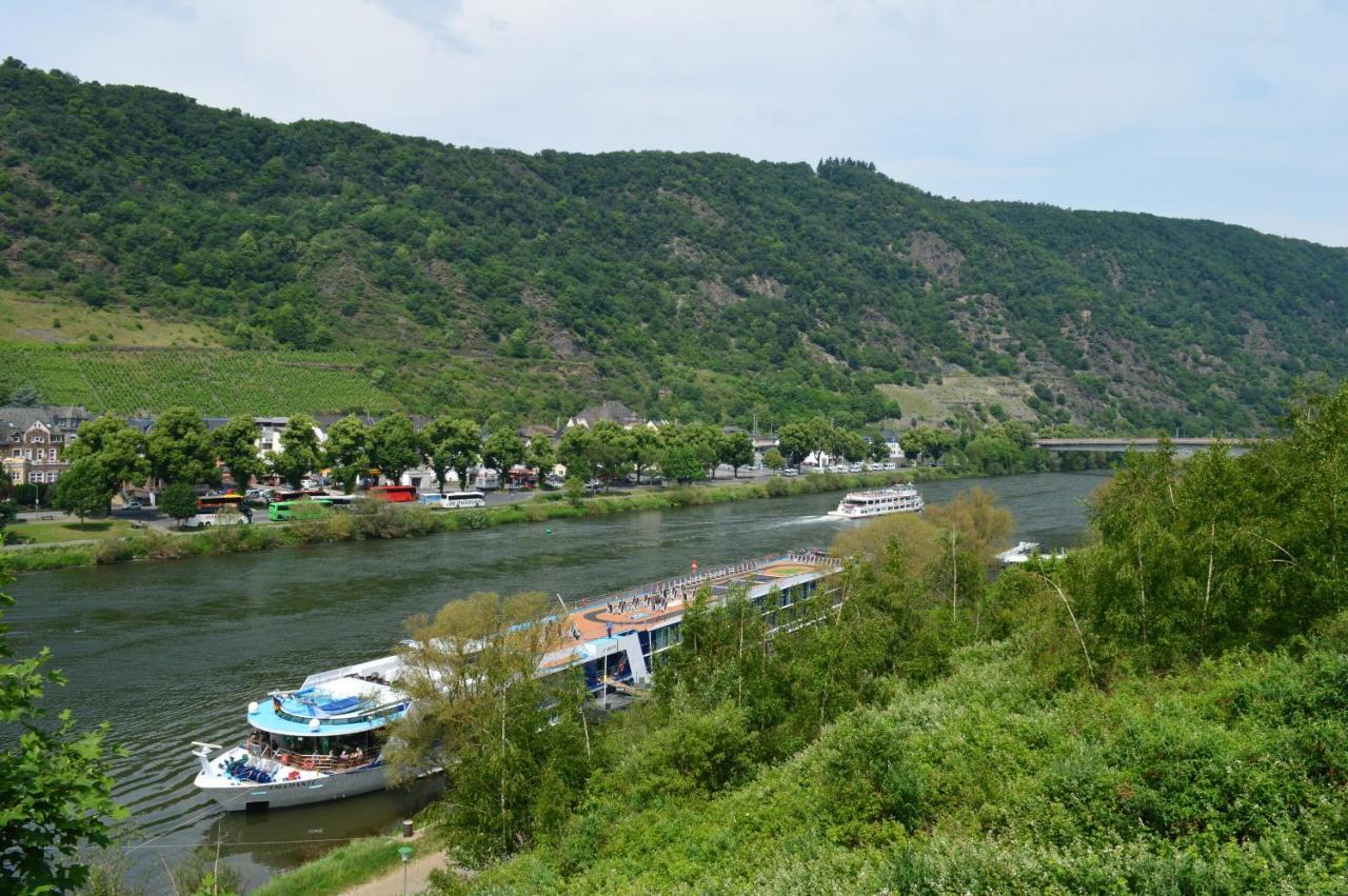 Alte Weinbauschule Villa Cochem Kültér fotó